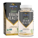 Garden of Life Brain Health Supplement med Organic Lion's Mane & Turmeric, Non-GMO, Gluten-Free, Mint smak - för minne, fokus och hälsosam hjärnfunktion