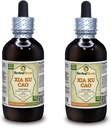 Xia Ku Cao, Prunella (Prunella Vulgaris) Tinktur, Organic Dried Spike Powder Liquid Extract (Brand Name: HerbalTerra, Proudly Made in USA) 2x4 fl.oz (2x120 ml)