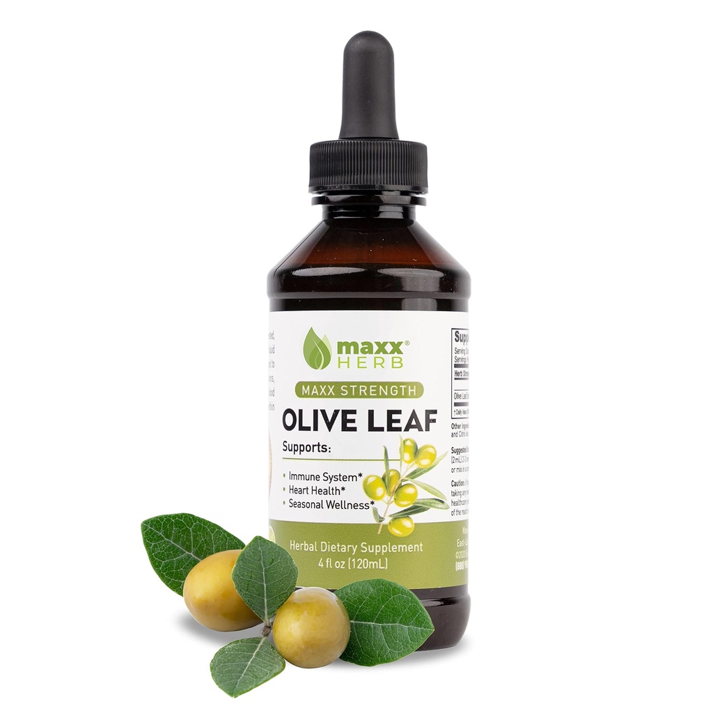 Maxx Herb Olive Leaf Extract - Max Strength Oleuropein Liquid Absorbs bättre än kapslar eller te, för immunstöd, hjärthälsa och säsongsmässig Wellness - 4 Oz Bottle (60 portioner)