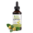 Maxx Herb Olive Leaf Extract - Max Strength Oleuropein Liquid Absorbs bättre än kapslar eller te, för immunstöd, hjärthälsa och säsongsmässig Wellness - 4 Oz Bottle (60 portioner)