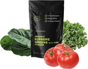 Organisk Superfood Greens Powder med MSM, för Gut Health, Digestion, Immune Support, Energy och More (Sugar Free, Non-GMO, Keto, Vegan), 60 Servings, 30 Day Supply