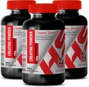 Kroppsbyggare för män - KREATIN Powder 100G - Kreatin Bulk - 3 flaska (pulver)