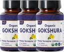 Gokshura 120 tabletter | Tribulus Terrestris (Gokshura) | USDA Organic Certified | Stöder immunitet och styrka | Organisk och naturlig 120tab - Pack på 3