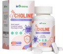 Prenatal Choline Supplement, 500mg, med Inositol, B1, B6, Brain Development i Utero / Early Life, Öka kolininnehållet i bröstmjölk, 30 dagars leverans