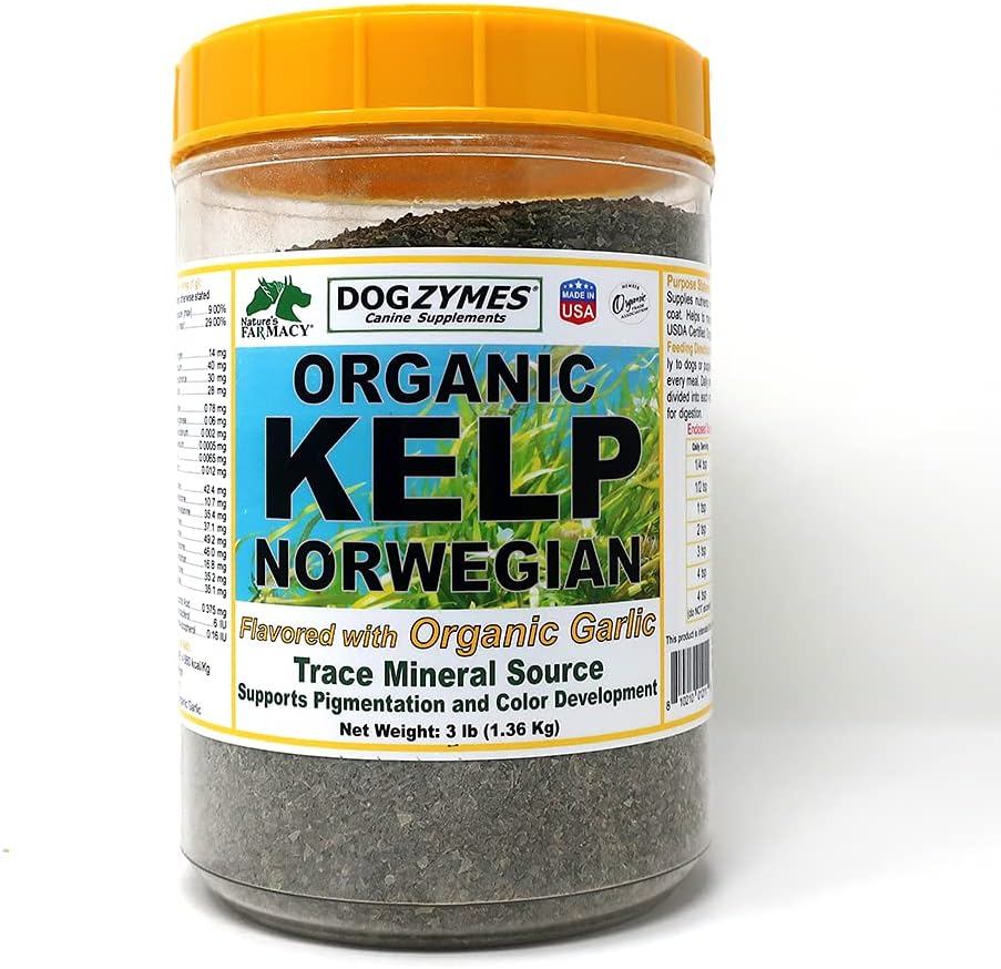 Dogzymer Norska Kelp Förbättrad med vitlök (3 pund)
