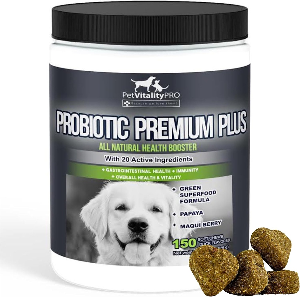 Probiotika för hundar med naturliga Digestive Enzymes ● 4 Bill CFUs / 2 mjuka Chews ● Dog Diarrhea Upset Stomach Yeast Gas Bad Breath Immunity Allergies Skin Itching Hot Spots ● 150 greve