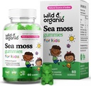 Wild & Organic Irish Sea Moss Gummies för barn 800mg - Immune Support med Bladderwrack - Vegan Sea Moss Gel Chews för övergripande stöd - 60 Non-GMO Seamoss Gel Gummies