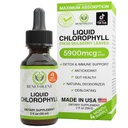 Benevolent Chlorophyll Liquid Drops - Detox & Immune Support, Internal Deodorizer & Skin Health Supplement, Non-GMO, 4 Month Supply, Natural Mint Flavor
