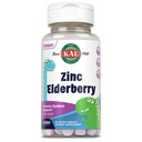 KAL Kids Zinc Elderberry Dinosaurs, Immune Support Supplement* för barn w / Sambucus Elderberry, Snabbupplösning Mixed Berry ActivMelts, Fun, Tasty Dino Shapes, Vegan, 90 Servings, 90 Micro Tablets