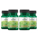 Swanson L. Reuteri Probiotic Plus w/L. Rhamnosus L. Acidophilus & FOS Prebiotic Digestive Support - Främjar Gut Health w/7 Billion CFU per Capsule - (30 Veggie Capsules) (4 Pack)