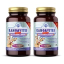 Solgar Kangavites, Bouncin' Berry Flavor - 120 Chewable Tablets, Pack of 2 - Komplett multivitamin och mineralformel för barn - Vegan, Gluten Free
