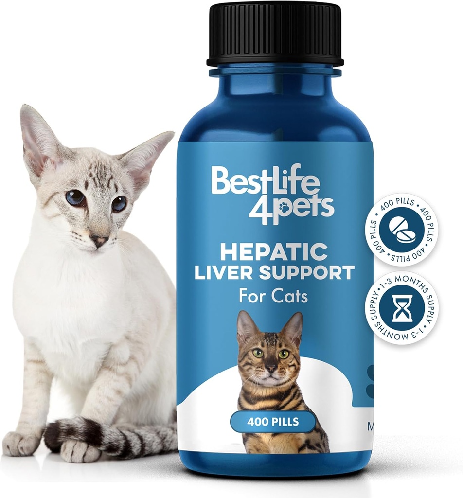 Hepatiskt leverstöd för katter upplösbara, Homeopatiska, Digestive Feline Supplement för Liver Detox och Nutrient Absorption 100% all naturlig, lätt att ge, fri från kemikalier eller tillsatser, 400 piller