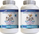 PET SUPPLEMENTS & NUTRITION LLC Dog Dental Hygiene - Dogs Total Health Control - Immune Support - Hårskinn Nails Oral Eye Health Formula - Oral Calcium för hundar - 2 flaskor (120 behandlingar)