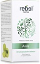 Rebel Herbs Amla Capsules (Amalaki) - Immune Support, Vegan, Gluten-Free, Ayurvedic, Antioxidant, Certified Organic Amla