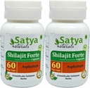 Shilajit Forte Capsules 500 mg. 60 Veg. Capsule | Shilajit (Asphaltum) Extract Capsules för män och kvinnor | Ayurvedic Herbal Supplement / läkemedel | 10:1 Forte (2 flaskor av 60 kapslar)