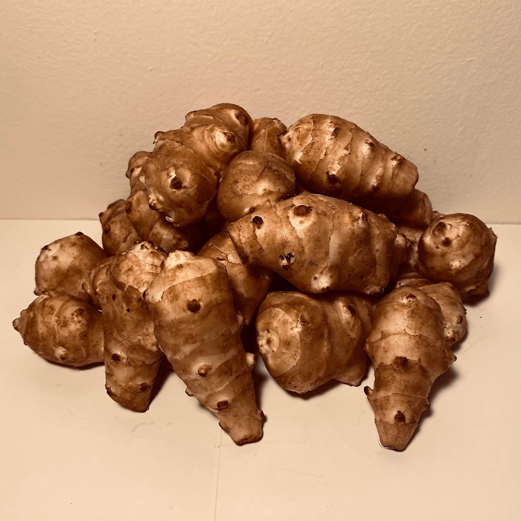 Sunchokes - 5 pund (5 lbs) för plantering eller äta FEDEX 2Day