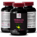 Stamina Power - TRIBULUS TERRESTRIS EXTRACTS - Energi för aktivitet, Energistöd Formel, Aktiv energisupport, Plant-Based Energy Boost, Aktivitetskraft, Aktiv träning Boost 1 flaska 60 tabletter