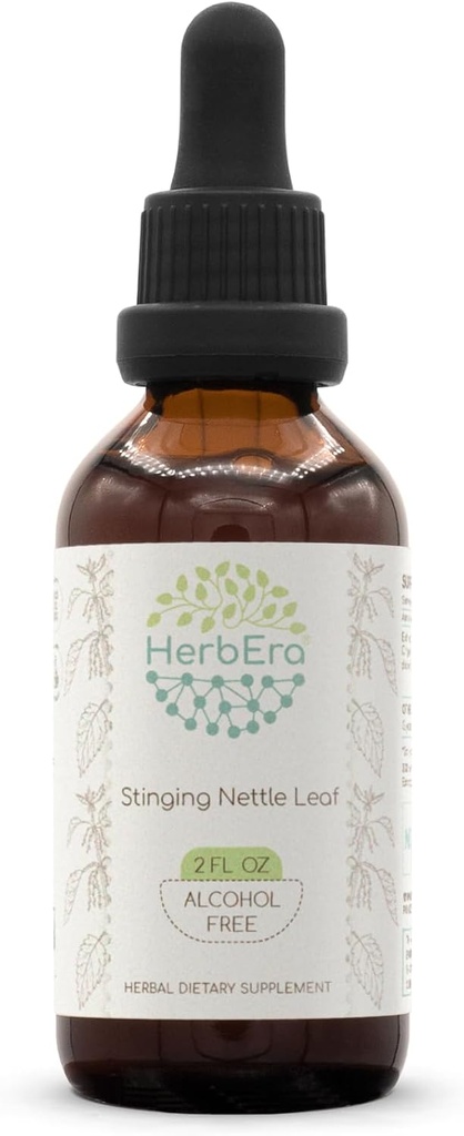 Stinginging Nettle Leaf B60 Alkoholfri växtbaserade extrakt tinktur, koncentrerad flytande droppar naturlig stickande nässel (Urtica Dioica) Torkade Leaf (2 fl oz)