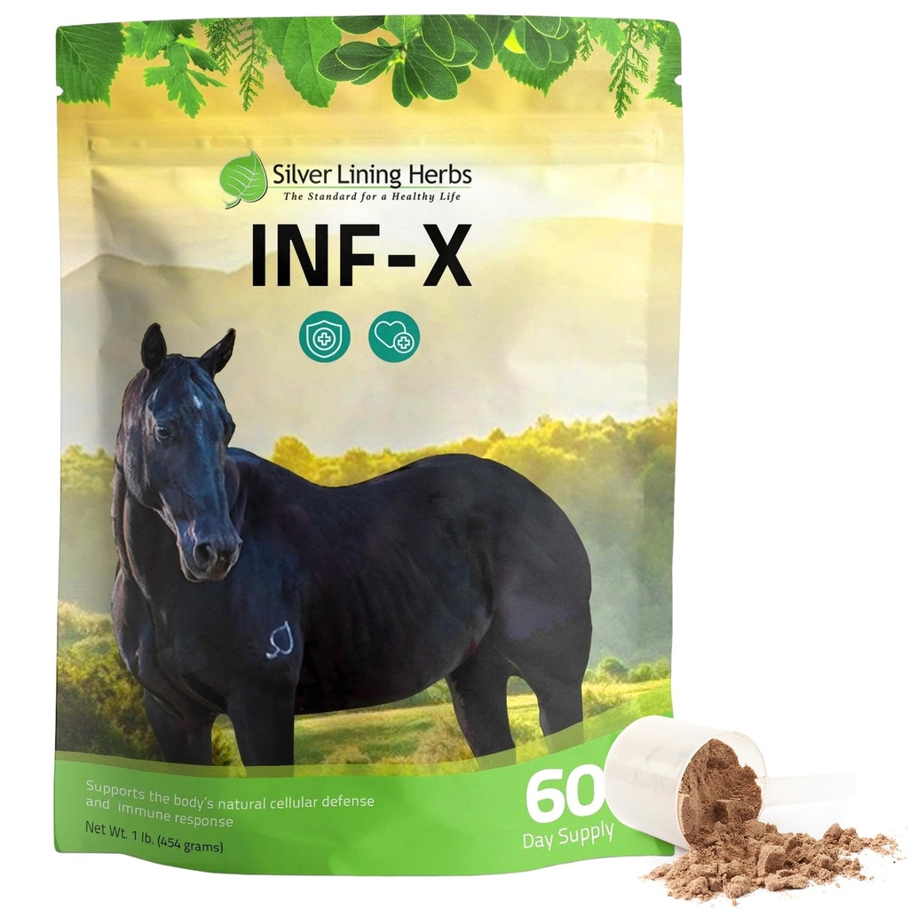 Silver Lining Herbs Equine INF-X - Stöder häst Stress Relief och hälsosamma nivåer av bra bakterier - Naturligt stöd för Equine Immune System - Herbal Supplement för Equine Avgiftning - 1 lb