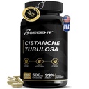 Premium Cistanche Tubulosa Extract 500mg (120 kapslar) - 50% Echinacosides,10% Acteosides - Natur Nootropic för Stamina, immunitet och minne - Inga fillers, Hormone Balance - Styrka Booster för män