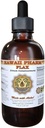 Flax Liquid Extract, Organic Flax (Linum usitatissimum) Tinktur Supplement 4 oz