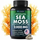 Sea Moss Capsules - Irish Sea Moss Advanced med Burdock Root, Bladderwrack & Muira Puama för immunitet, gut och energi - Superfood Sea Moss Supplements w / Raw Sea Moss Powder - 120 irländska Seamoss Pills
