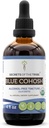Secrets of the Tribe Blue Cohosh Alcohol-Free Tincture (Glycerite) 659 mg Ansvarsfullt odlade USDA Organic Blue Cohosh (Caulophyllum Thalictroides) Torkade Root (4 Fl Oz) Kvinnors hälsotillskott