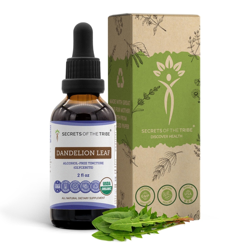 Hemligheter av stammen Dandelion Leaf USDA Organic | Alkoholfri extrakt, högpotens Herbal Drops, Digestive System | Tillverkad av 100% certifierad organisk Taraxacum Officinale Tord Leaf 2 oz