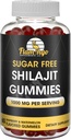 Sugar Free Shilajit Gummies (1000mg Serving)- Natural Himalayan Organic Fulvic Acid Shilajit Supplement for Men and Women -60 Gummy Chews