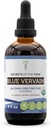 Hemligheter av stammen Blue Vervain USDA Organic | Alkoholfri extrakt, högpotens Herbal Drops | Tillverkad av 100% certifierad organisk blå Vervain (Verbena Hastata) Torkade Herb (4 oz)