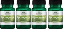 Swanson Pycnogenol 100 Milligram 30 kapslar 4 Pack