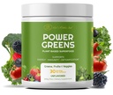 Red's Kitchen Sink Power Greens Powder - Daily Greens Superfood Powder - Fruity, Veggie och Green Leafy Smoothie Drink Mix - Superfoods Maca Root, Spirulina, Chlorella och mer (200 Grams)