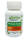 Generisk O r g a n i c Shilajit kapsel 60 portioner per flaska 500mg ayurvediska inga artificiella ingredienser ingår (Single Pack)
