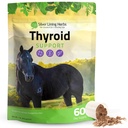Silver Lining Herbs Thyroid Support för hästar - Herbal Horse Supplement för normal sköldkörtelfunktion, Hormon Balance & Healthy Metabolism med Irish Moss, Kelp, Parsley - 120-Day Supply