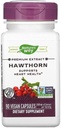 Naturens sätt Hawthorn Berries, 90 kapslar (Pack of 2)
