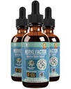 Rejuvica Health NerveFactor - Advanced Nerve Support Supplement - Liquid Delivery för bättre absorption - Acetyl-L-Carnitine, Alpha Lipoic Acid, Vitamin B12, Folic Acid, White Willow Bark & More!