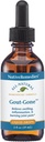 Native Remedies Gout-Gone - Naturlig homeopatisk formel för det gemensamma svullnad, rodnad och obehag av gikt - 59 ml