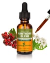 Herb Pharm Hawthorn Blend Liquid Extract för kardiovaskulär och cirkulationsstöd, 1 Fl Oz