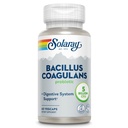 SOLARAY Bacillus Coagulans Probiotic - 5 miljarder levande mikroorganismer - Digestion och Gut Health Support - Full Body Health Probiotics med Inulin Prebiotic Fiber, 60-dagars garanti, 30 Serv, 60 VegCaps