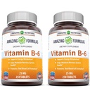 Fantastiska formler Vitamin B6 Pyridoxin 25mg 250 tabletter Supplement | Icke-GMO | Gluten Free | Made in USA (2 Pack)