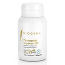 Biogena Pycnogenol 100 mg Guld med Premium Patented French Maritime Pine Bark Extract (Pinus Pinaster) för att stödja blodcirkulation