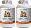 dog probiotic digestive enzymes - PET PROBIOTIC - DOGS AND CATS - DIGESTIVE BOOST - GET RID OF BAD BREATH AND STOP DIARRHEA - lactobacillus salivarius probiotic - 2 Bottles (120 Treats)