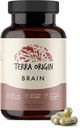Terra Origin, Healthy Brain Supplement, Capsules, 30 Servings, med CDP Choline, Ginkgo Biloba Extract och Bacopa - för hälsosamt sinne, förbättrar minne, minns och funktion