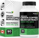 Renew Actives High Potency Green Coffee Bean Extract - 800mg per Servering Green Coffee Bean Extract med 50% Klorogensyra för antioxidantförmåner - Tillverkad i Kanada - 90 Vegan kapslar