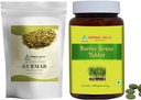 HERBAL HILLS Gurmar Tea Powder och Barley Grass tabletter Pack med 2 Combo