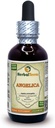 Kinesiska Angelica (Angelica archangelica) Tinktur, Organic Dried Root Liquid Extract (Brand Name: HerbalTerra, Proudly Made in USA) 2 fl.oz (60 ml)