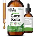 Wild & Organic Gotu Kola Herb Tincture - Brain Support - Gotu Kola Liquid Extract Drops - Vegan, Sugar & Alkoholfri Centella Asiatica Supplement - 2 fl oz