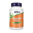 Nu livsmedelstillskott, Boswellia Extract 250 mg, plus gurkmeja Root Extract, 120 Veg kapslar