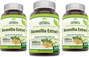 Herbal Secrets Boswellia Serrata Extract (65% Boswellic Acids) 600 mg kapslar Supplement | Non-GMO | Gluten Free (120 | 3 Pack)