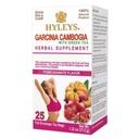 HYLEYS Tea Garcinia Cambogia grönt te med granatäpple smak - 25 tepåsar